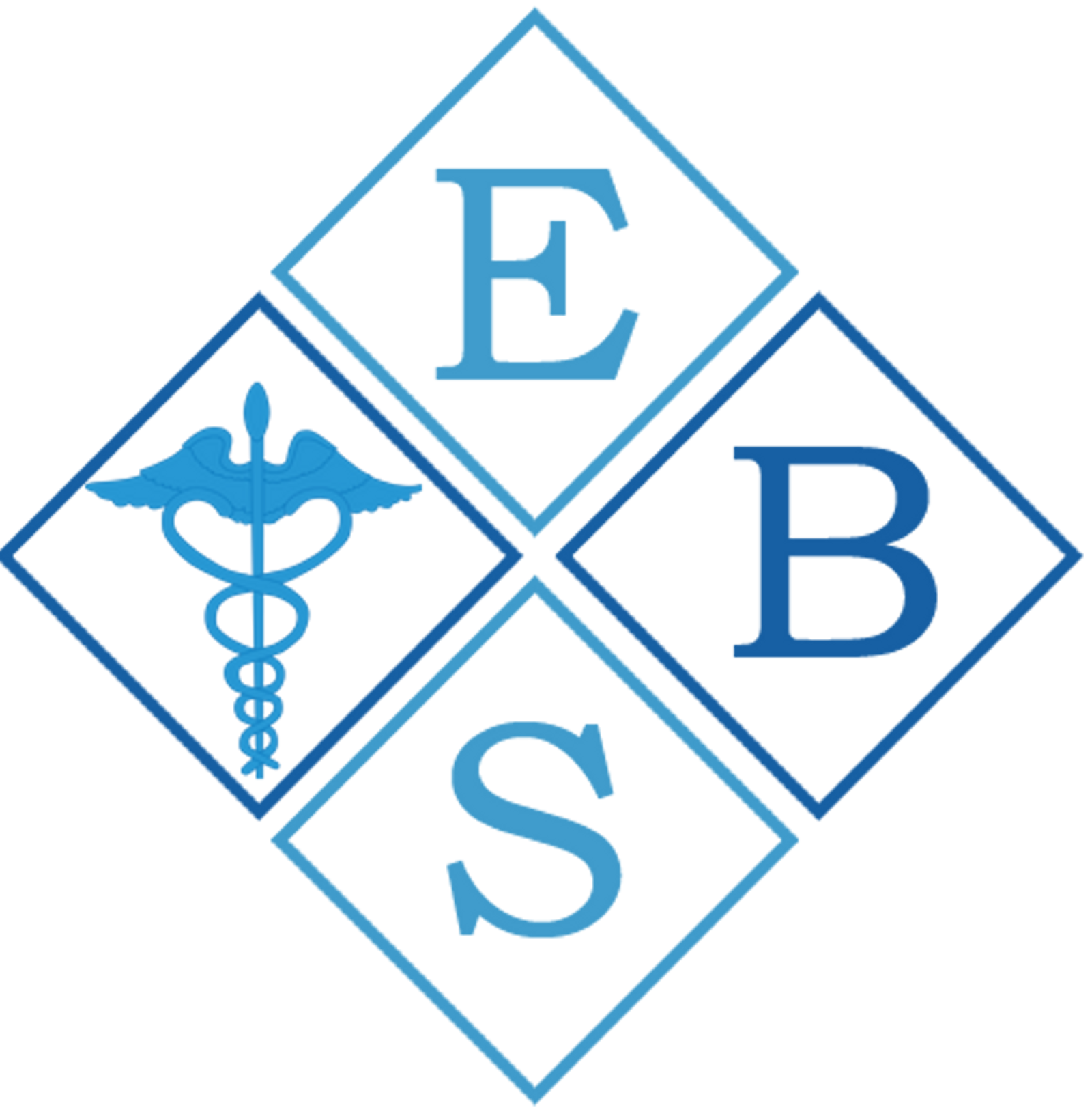 EBS Logo